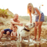 All About Labrador Retrievers: The Ultimate Family Dog